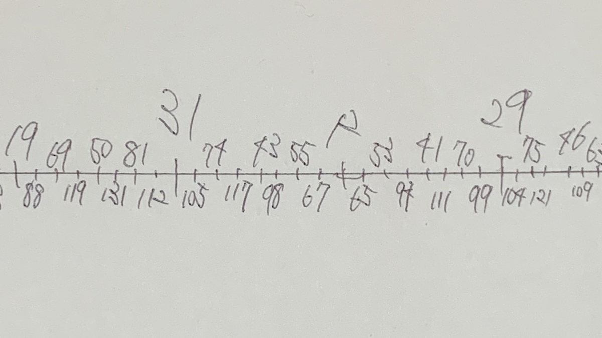 n-EDO Ruler (Equal Temperament Scale Ruler)